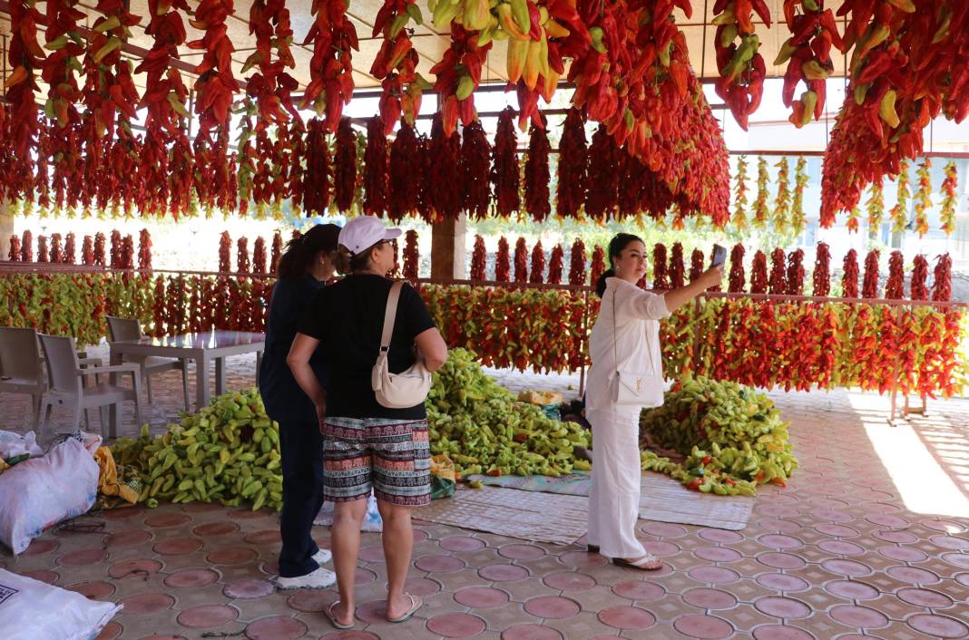 Tescilli 3 biberden biri! Renk ve lezzetin uyumu turistleri hayran bıraktı 9